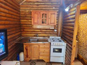 a kitchen with a stove and a sink in a cabin at Cabañas Lumel in Carpintería