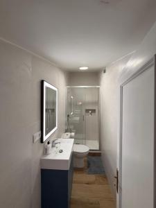 een badkamer met een toilet, een wastafel en een spiegel bij Casa De Los Aguilas in Avila