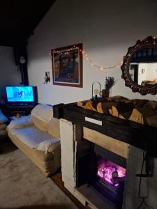 een woonkamer met open haard en tv bij Šumska kuća Atina - Devojački Bunar in Alibunar