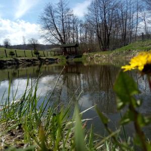 Billede fra billedgalleriet på Vila Jezerce i Užice