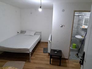 een kleine slaapkamer met een bed en een wastafel bij Hostel Lalinac in Lalince