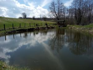 Billede fra billedgalleriet på Vila Jezerce i Užice