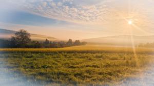 een grasveld met de zon in de lucht bij Monteur- oder Wandererwohnung im Hildesheimer Wald in Diekholzen