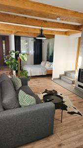 a living room with a couch and a bed at Apartament NA PIĘTERKU in Rzepiska