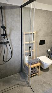 a bathroom with a shower and a toilet in it at Apartament NA PIĘTERKU in Rzepiska +14 photos