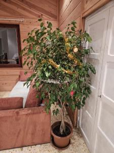 Khu vực ghế ngồi tại Les 3 vallées 2