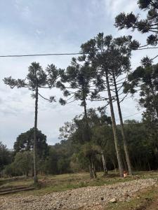 Afbeelding uit fotogalerij van Refúgio Bocaina in Bocaina do Sul