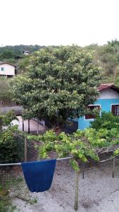 een boom voor een blauw huis bij Casa Vargem Pequena in Florianópolis