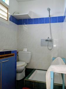 a bathroom with a toilet and a shower at Le Milano in Kourou