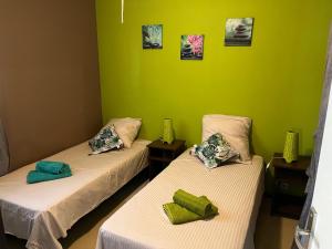 two beds in a room with green walls at VILLA COLIBRI Piscine balnéo privative in Sainte-Rose