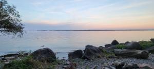 Naturlandskabet i nærheden af feriehuset