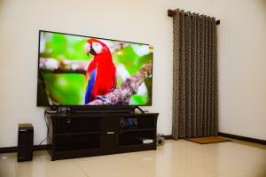 een papegaai die bovenop een tv-scherm zit bij Elevate Villa Galle in Galle
