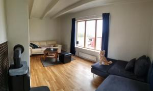 a living room with a dog sitting on a couch at Cozy Cottage in Balsfjord