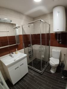 un bagno con doccia, WC e lavandino di Wolf Apartments Kopaonik a Kopaonik