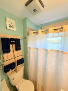 a bathroom with a toilet and a shower at Gallows Hill Guest House in Salem +15 photos