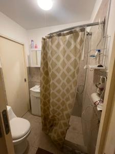 a bathroom with a shower and a toilet at Mar azul in Mar Azul