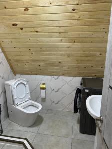 a bathroom with a white toilet and a sink at Cottage Godzia in Sadgeri +18 photos