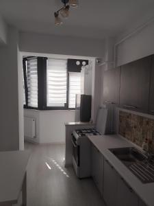 Billede fra billedgalleriet på LCB Apartments George Enescu 6 i Suceava + 3 billeder