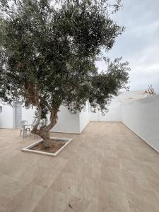 een boom in een witte kamer met een tafel en een stoel bij Mechi House in Djerba