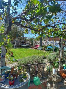 Vườn quanh Lugar Sagrado Hostel