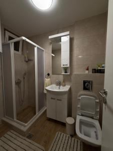 a bathroom with a shower and a sink and a toilet at Apartmani Sirius in Čačak +14 photos