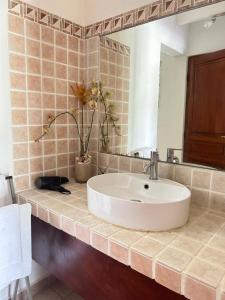 a bathroom with a sink and a mirror at Studio Terres Basses, Saint-Martin in Les Terres Basses +16 photos