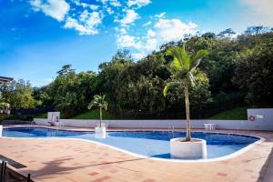 een palmboom naast een zwembad bij Apartamento Moderno en Villeta - Nido de San Miguel in Villeta