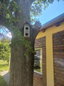 Billede fra billedgalleriet på La Adelfa i Esquel