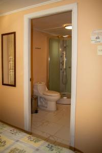 a bathroom with a toilet and a shower at Hostal Turpial Patagonia in Puerto Natales +18 photos