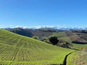 a field of green grass with mountains in the background at Apartment in a farmhouse with 2 swimming pools in Cagli