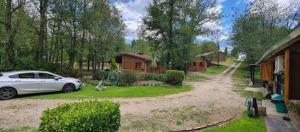 Naturlandskabet i nærheden af lejligheden