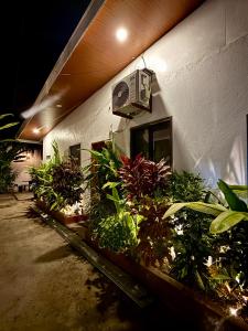 a building with plants on the side of it at Violegre Homestay - KABLON in General Luna +25 photos