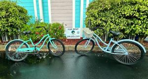 Cykling ved NEW Seaside Escape Queen Studio near Naples eller i nærheden