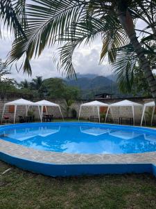 a large blue swimming pool with a palm tree at La Posada de Chango in La Merced +12 photos