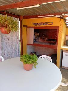 a table with two potted plants and a fireplace at Eternal Sun in Balneario Buenos Aires