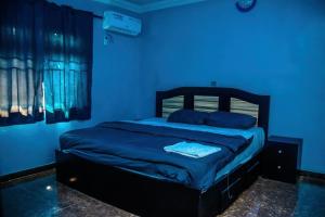 a blue bedroom with a bed in a blue room at MoExoticRoyaleServices in Ikorodu