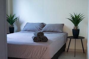 a teddy bear on a bed in a bedroom at Mosch Apartments in Noord +32 photos