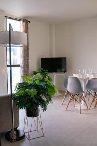 a living room with a potted plant and a tv at Mosch Apartments in Noord