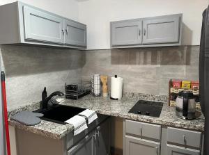 a kitchen with a sink and a counter top at Private Garden Suite in Bayshore in Bay Shore