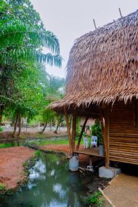 Phong cảnh thiên nhiên gần chỗ nghỉ nhà dân