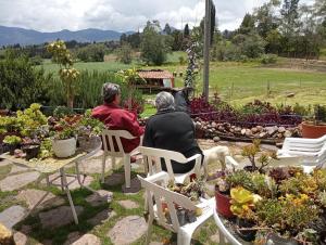 Naturlandskabet i nærheden af den private indkvartering