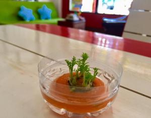 a small plant in a glass bowl on a table at Little Hostel in Ban Houayxay