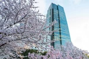 a tall glass building withakura trees in front of it at The Ritz-Carlton, Tokyo in Tokyo