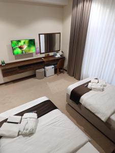 TV a/nebo společenská místnost v ubytování Violet Hotel