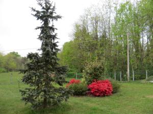 Vonkajšia záhrada v ubytovaní B&B Il Rovere