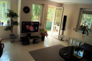 Televízia a/alebo spoločenská miestnosť v ubytovaní Apartament Maria