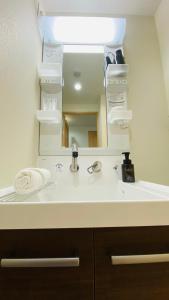 een badkamer met een wastafel en een spiegel bij Apartment Hotel YAEZAKI in Wada