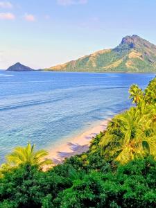 einen Strand mit Palmen vor dem Meer in der Unterkunft LOwayalailaiSTAY in Wayasewa Island