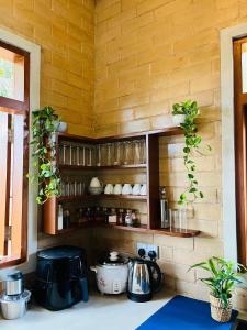 une cuisine avec des murs en bois et des étagères avec des plantes dans l'établissement Legato House, à Talpe