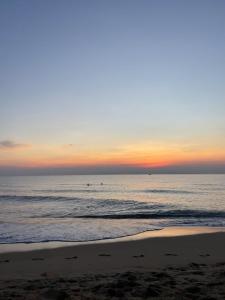 Naturlandskabet i nærheden af pensionatet + 18 billeder